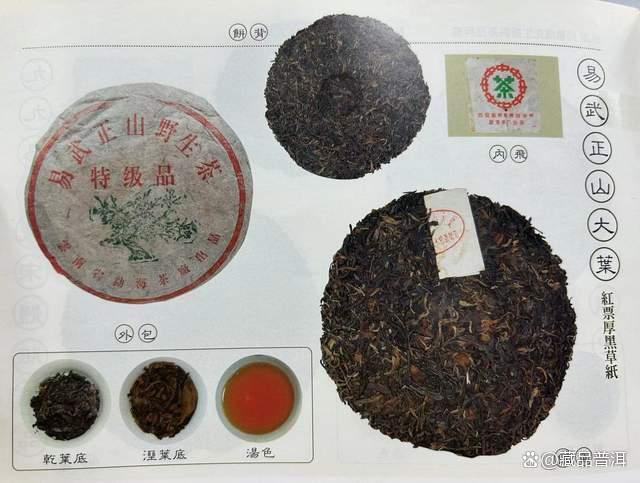 99绿大树红票与蓝黑票的区别解析，大叶系普洱茶正名