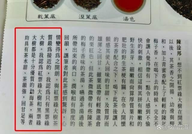 99绿大树红票与蓝黑票的区别解析，大叶系普洱茶正名