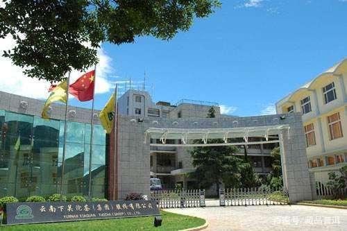 下关沱茶品牌历史与经典产品全解析