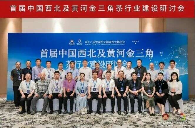 陕西茶业强势崛起 十县区入选全国百强县域 brand_alt_mark