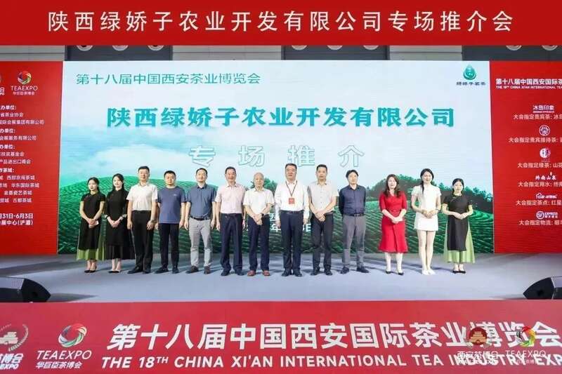 陕西茶业强势崛起 十县区入选全国百强县域 brand_alt_mark