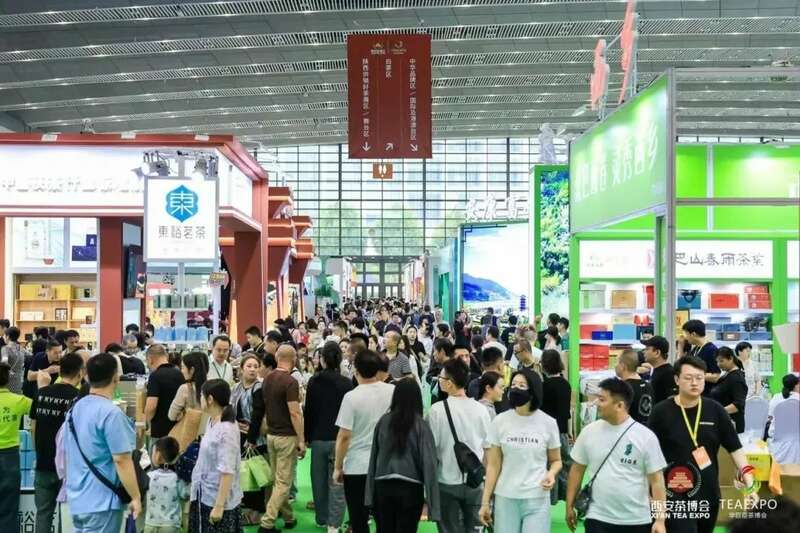 陕西茶业强势崛起 十县区入选全国百强县域 brand_alt_mark