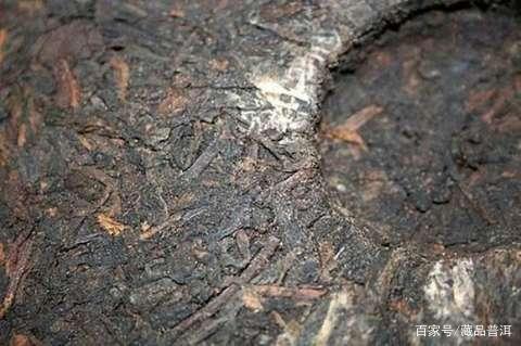 夏季普洱茶存储要点：避光控湿调温防变质