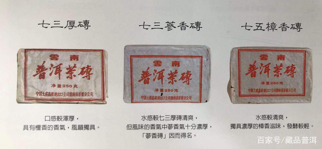 文革砖普洱茶的来历与特点解析，了解茶界传奇产品