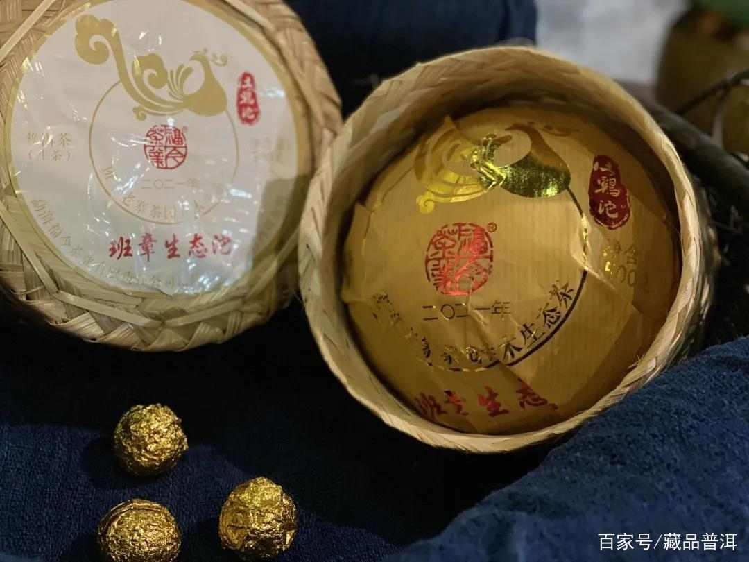 2021班章土鸡沱深度解析,传承经典老班章韵味 2021班章土鸡沱深度解析,传承经典老班章韵味