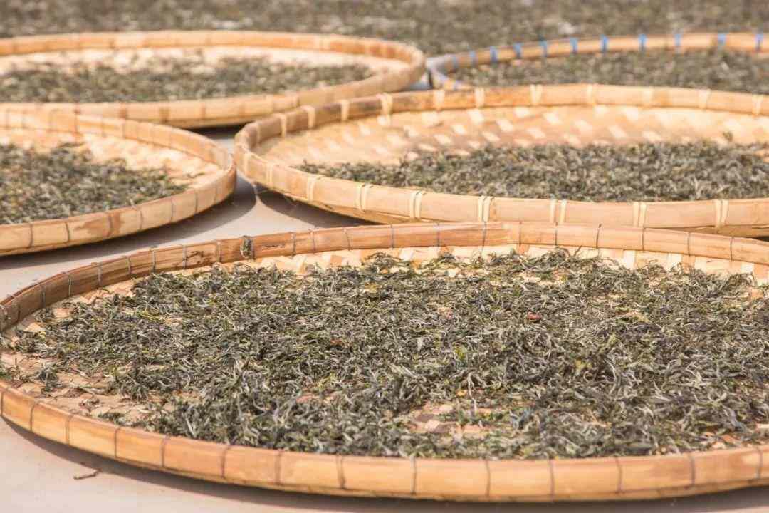 普洱茶收藏指南:四个标准判断茶叶品质价值 普洱茶收藏指南:四个标准判断茶叶品质价值