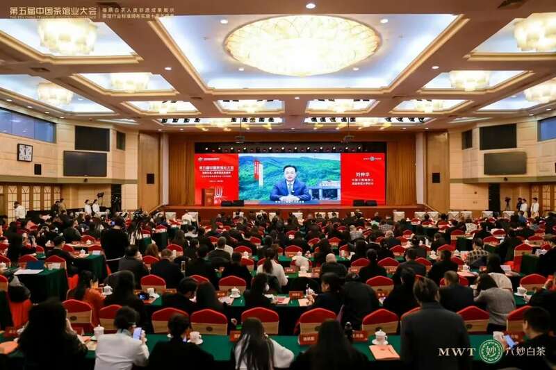 第五届中国茶馆业大会聚焦福鼎白茶非遗成果展示 brand_alt_mark