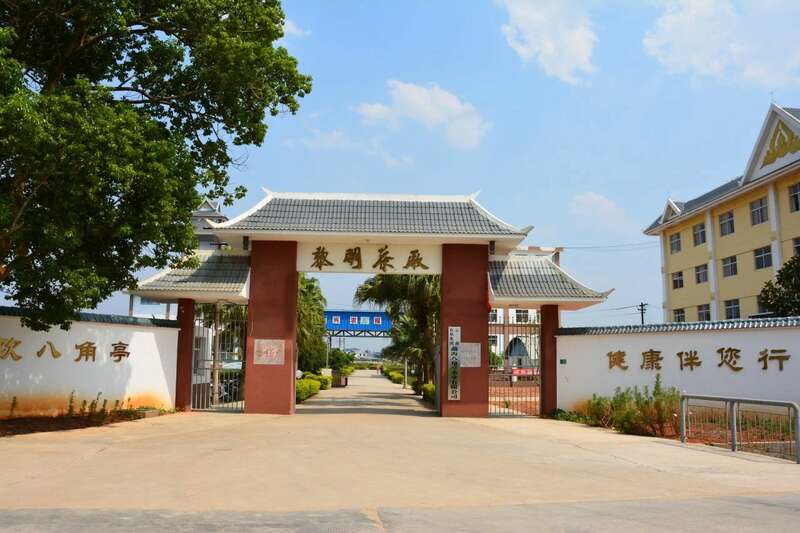 八角亭老班章古树青饼60周年纪念版 普洱茶巅峰之作 brand_alt_mark