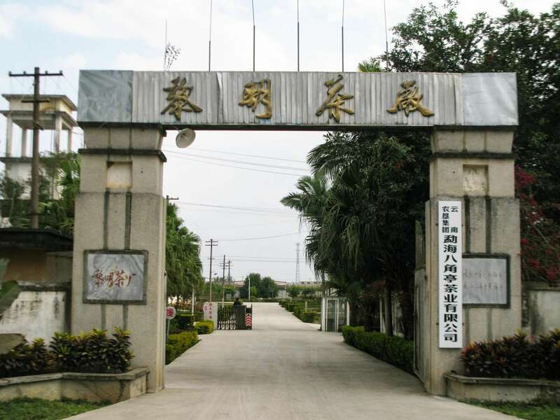 八角亭老班章古树青饼60周年纪念版 普洱茶巅峰之作 brand_alt_mark