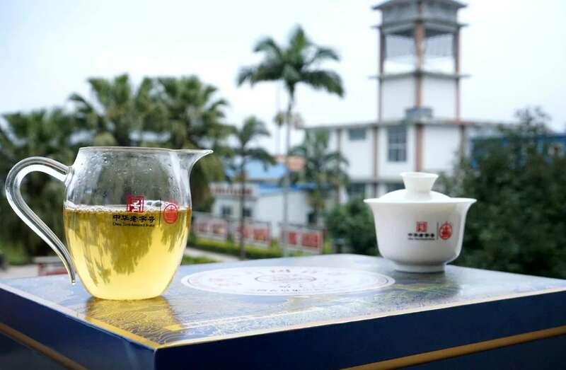 八角亭老班章古树青饼60周年纪念版 普洱茶巅峰之作 brand_alt_mark