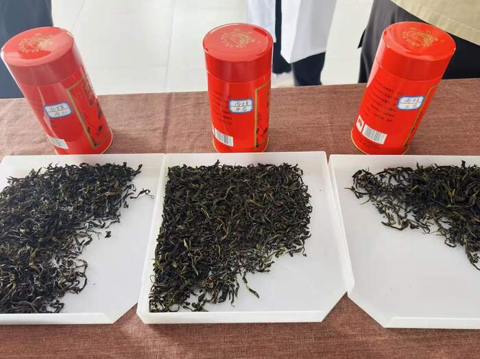 武夷岩茶为什么不是春茶上市?岩韵形成的科学原理揭秘 揭秘武夷岩茶独特的“上市时差”与“岩韵”密码