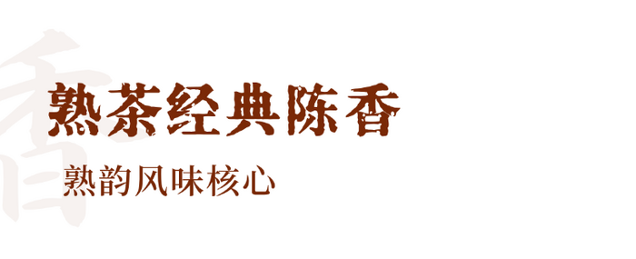 普洱熟茶十大香型全解析:陈香樟香枣香等品鉴指南 解码熟普香气图鉴 读懂经典【陈香】