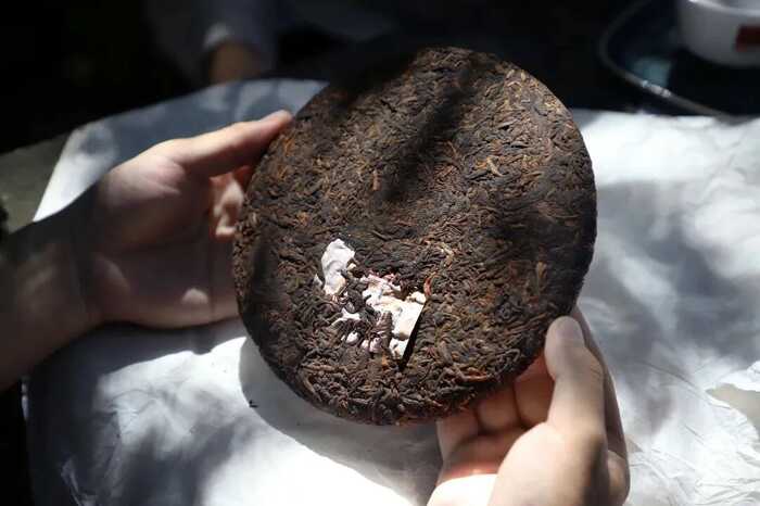 普洱熟茶十大香型全解析:陈香樟香枣香等品鉴指南 解码熟普香气图鉴 读懂经典【陈香】