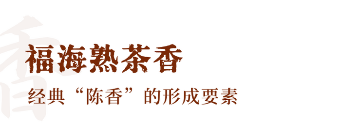 普洱熟茶十大香型全解析:陈香樟香枣香等品鉴指南 解码熟普香气图鉴 读懂经典【陈香】