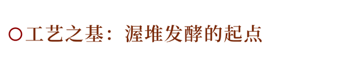 普洱熟茶十大香型全解析:陈香樟香枣香等品鉴指南 解码熟普香气图鉴 读懂经典【陈香】