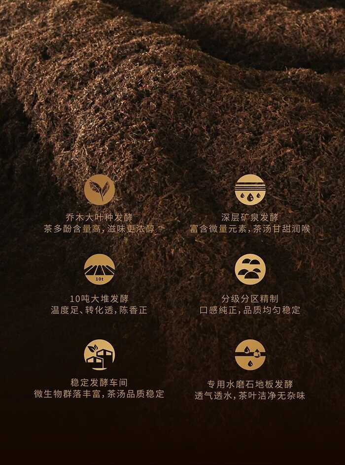 普洱熟茶十大香型全解析:陈香樟香枣香等品鉴指南 解码熟普香气图鉴 读懂经典【陈香】