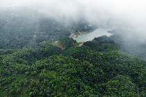 普洱熟茶十大香型全解析:陈香樟香枣香等品鉴指南 解码熟普香气图鉴 读懂经典【陈香】