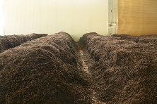 普洱熟茶十大香型全解析:陈香樟香枣香等品鉴指南 解码熟普香气图鉴 读懂经典【陈香】