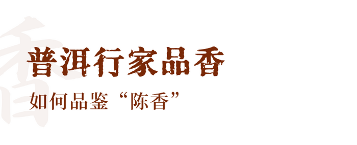 普洱熟茶十大香型全解析:陈香樟香枣香等品鉴指南 解码熟普香气图鉴 读懂经典【陈香】