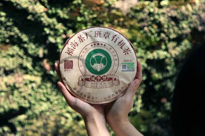 普洱熟茶十大香型全解析:陈香樟香枣香等品鉴指南 解码熟普香气图鉴 读懂经典【陈香】