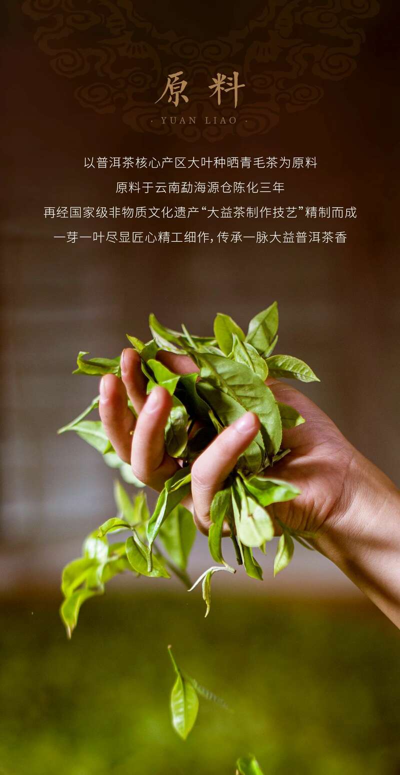 大益福庆有余普洱茶礼盒 双鲤逐游设计寓意富贵有余 brand_alt_mark