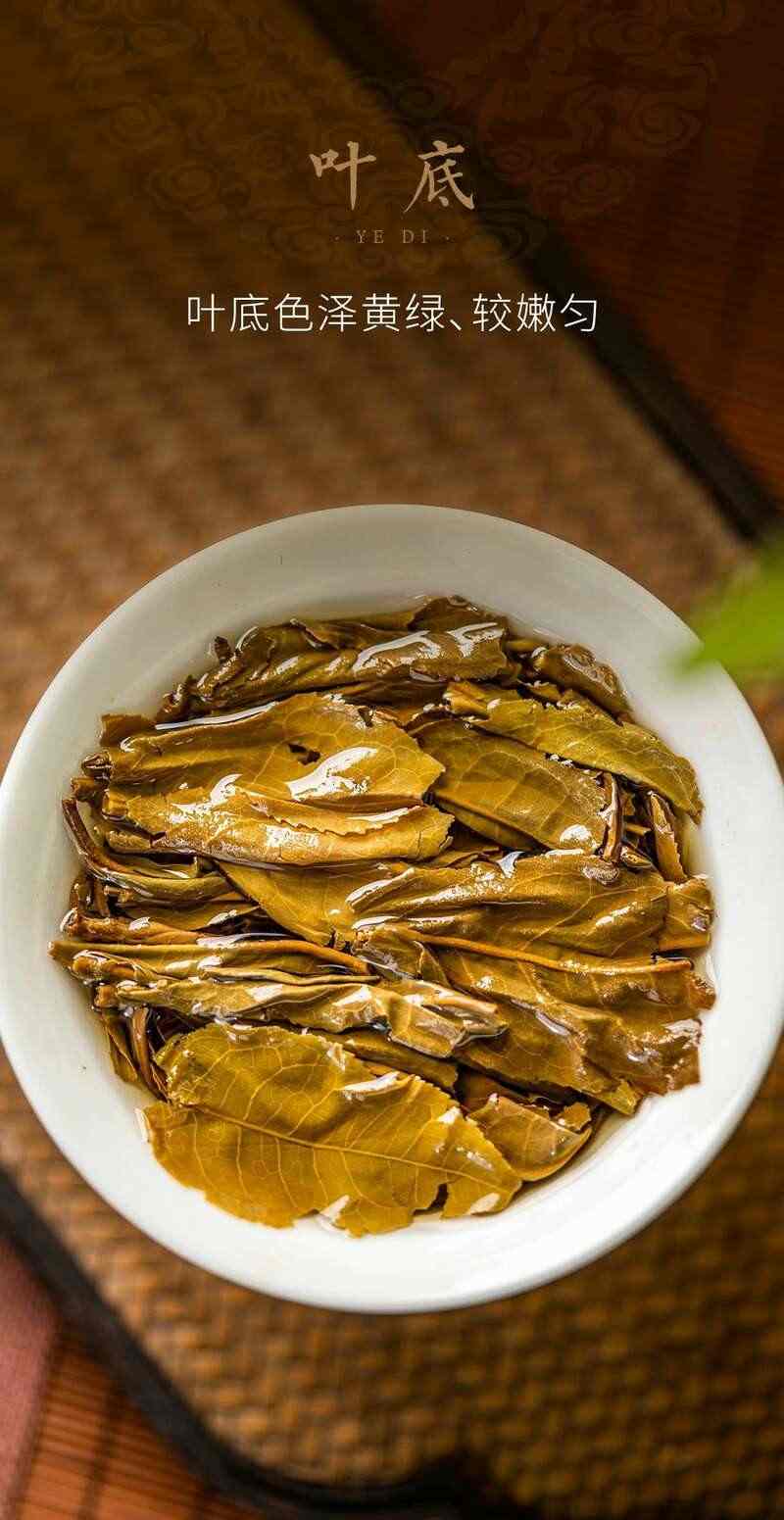 大益福庆有余普洱茶礼盒 双鲤逐游设计寓意富贵有余 brand_alt_mark