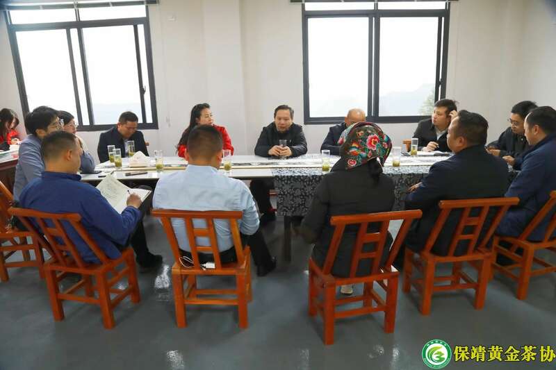 保靖县委书记深入茶园调研春茶生产 推动黄金茶产业创新发展 保靖黄金茶产业“四驾马车”齐发力 深入调研春茶生产