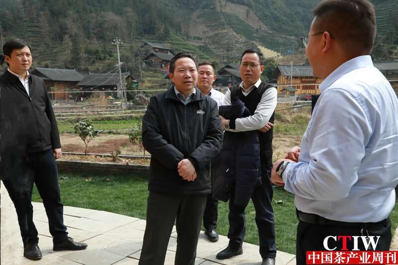 保靖县委书记深入茶园调研春茶生产 推动黄金茶产业创新发展 保靖黄金茶产业“四驾马车”齐发力 深入调研春茶生产