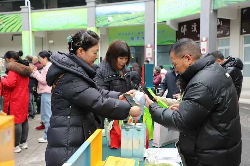 让绿叶子成为金名片   纳溪区：打造百亿茶产业