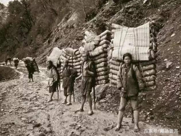 同兴号普洱茶的历史传奇，易武茶庄的百年兴衰