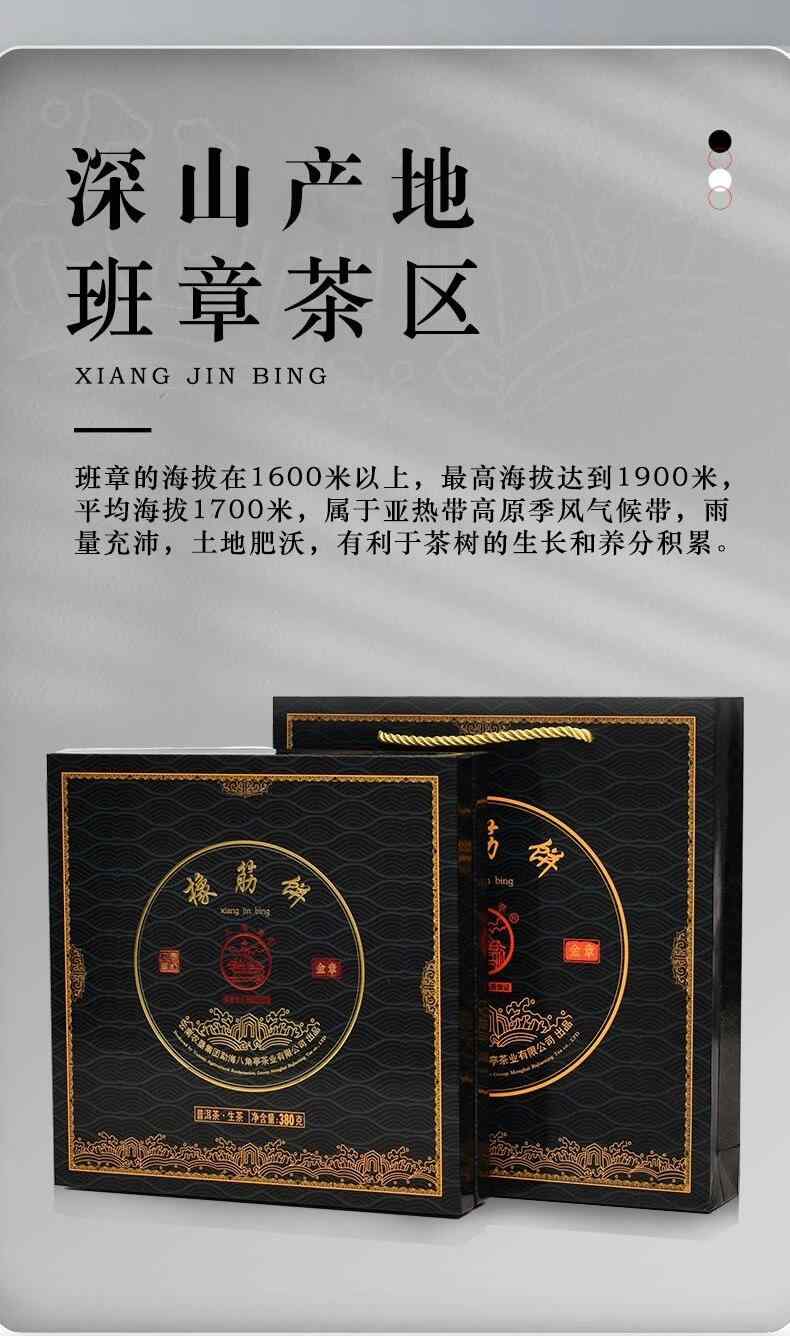 班章茶区橡筋饼茶独特韵味体验浓烈山野气息 brand_alt_mark