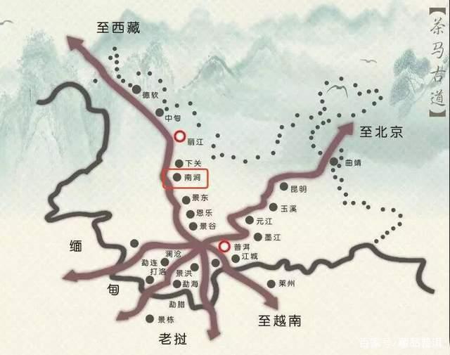 土林凤凰沱茶传奇历史与收藏价值解析