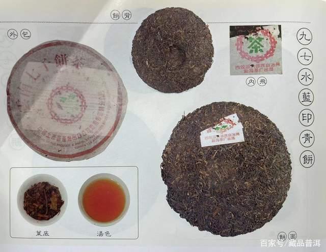97水蓝印7542普洱茶深度解析 经典名茶的独特魅力 97水蓝印7542普洱茶深度解析 经典名茶的独特魅力
