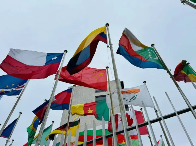 滇红茶制作技艺走进联合国教科文组织展现非遗文化魅力 滇红茶香飘联合国,非遗技艺展风采