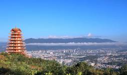 滇红茶制作技艺走进联合国教科文组织展现非遗文化魅力 滇红茶香飘联合国,非遗技艺展风采