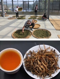 滇红茶制作技艺走进联合国教科文组织展现非遗文化魅力 滇红茶香飘联合国,非遗技艺展风采