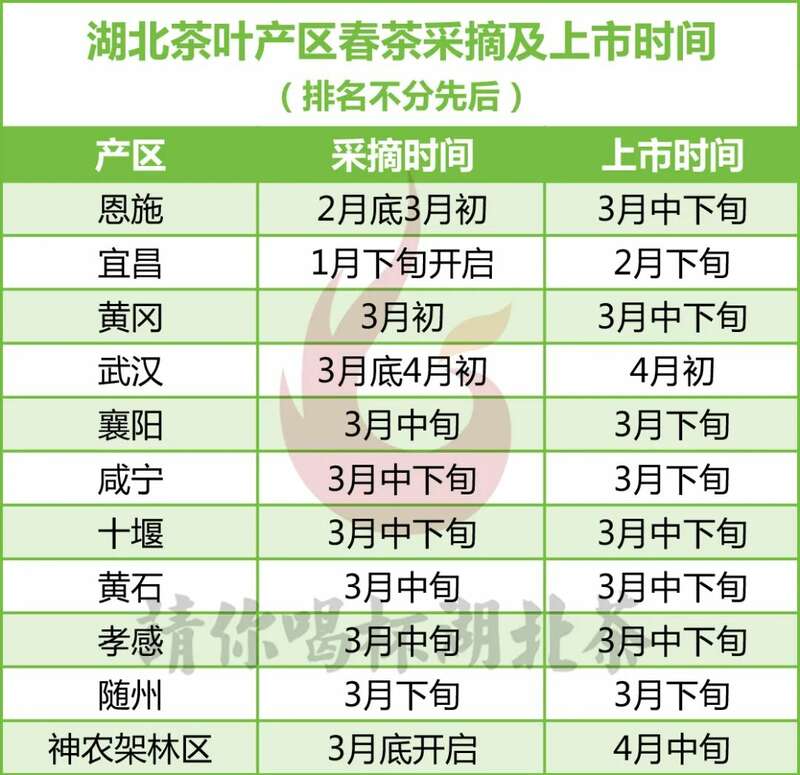 杯中第一口鲜何时喝到？且看2025湖北春茶上市时间表