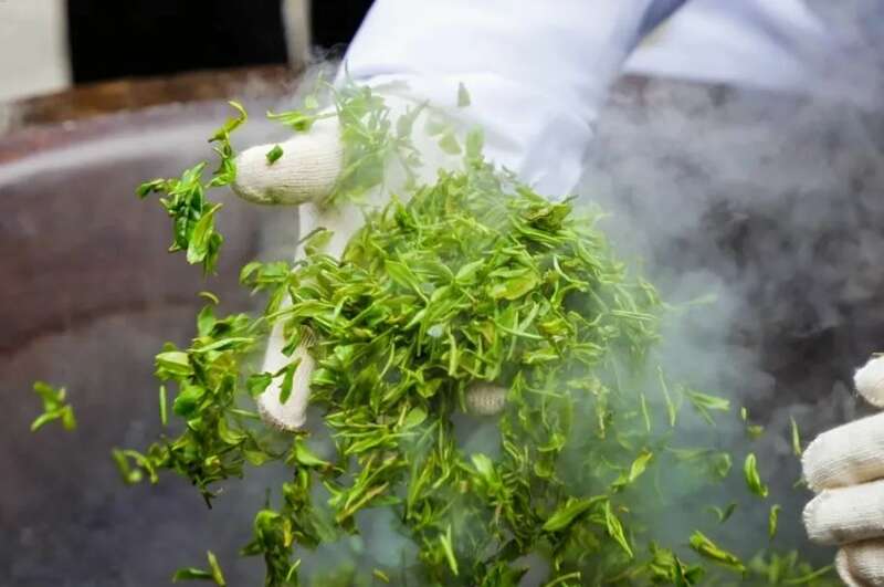 杯中第一口鲜何时喝到？且看2025湖北春茶上市时间表