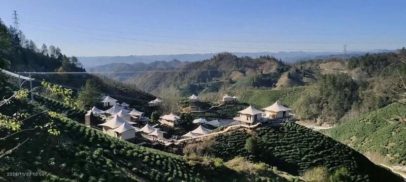 商南：“生态茶城”焕发新气象