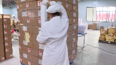 广西昭平茶叶产业转型升级 出口增长23.8%畅销全球市场 昭平茶“香”飘海内外 茶产业乘双循环东风腾飞