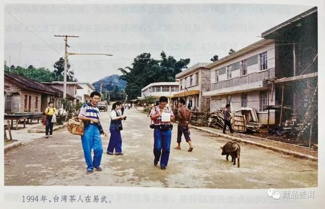 96真淳雅号的诞生历程，易武茶复兴时代的先锋之作