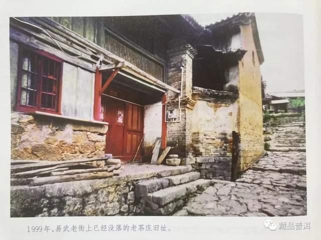 96真淳雅号的诞生历程，易武茶复兴时代的先锋之作