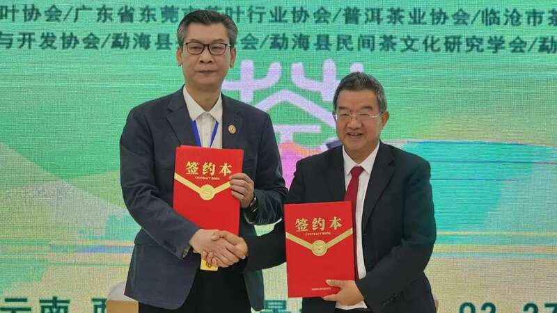 西双版纳2025年茶产业发展形势交流研讨会在景洪召开