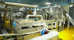 贺州：茶香四溢，产业腾飞