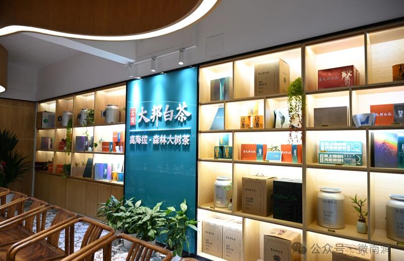 云南白茶研究院东莞藏茶研究中心揭牌 南涧开启跨区域合作新篇章