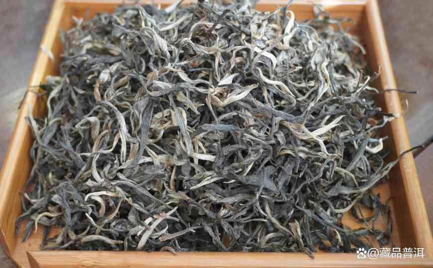 普洱茶紧压茶vs散茶哪个更好？制作工艺与储存优势解析