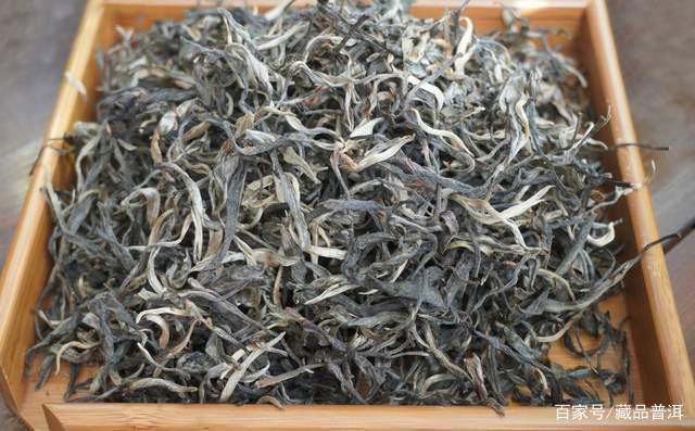 普洱茶紧压茶vs散茶哪个更好？制作工艺与储存优势解析