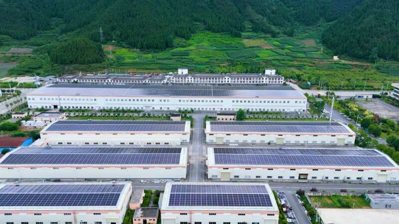 贵州抹茶成功出口日本市场 实现历史性突破 2025出海续航!贵州抹茶再次大规模出口日本!