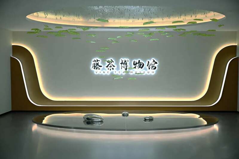 新华社发重磅长文：来凤藤茶如何花30年时间“出山”又出圈