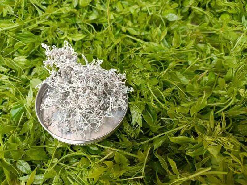 新华社发重磅长文：来凤藤茶如何花30年时间“出山”又出圈